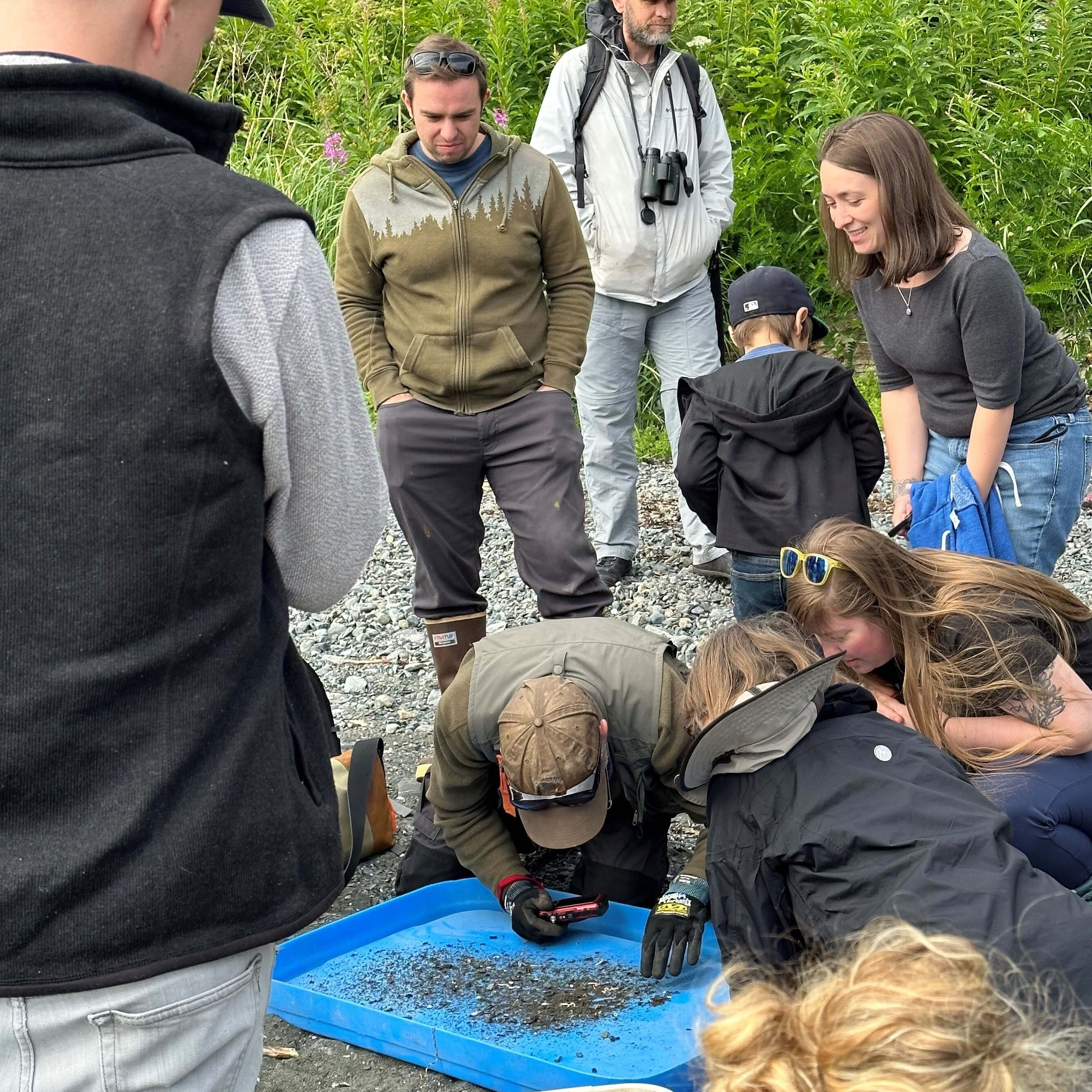 Fab Friday: BUGS! - logo